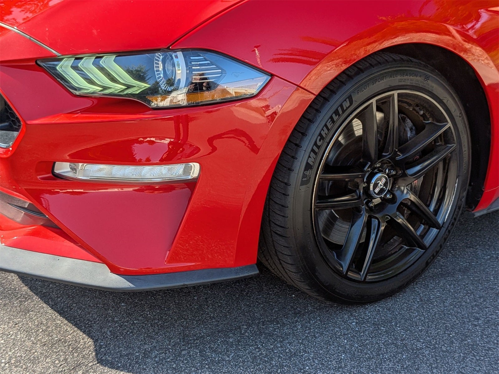 2019 Ford Mustang GT Premium