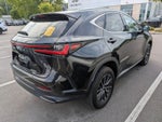 2024 Lexus NX 350 Base