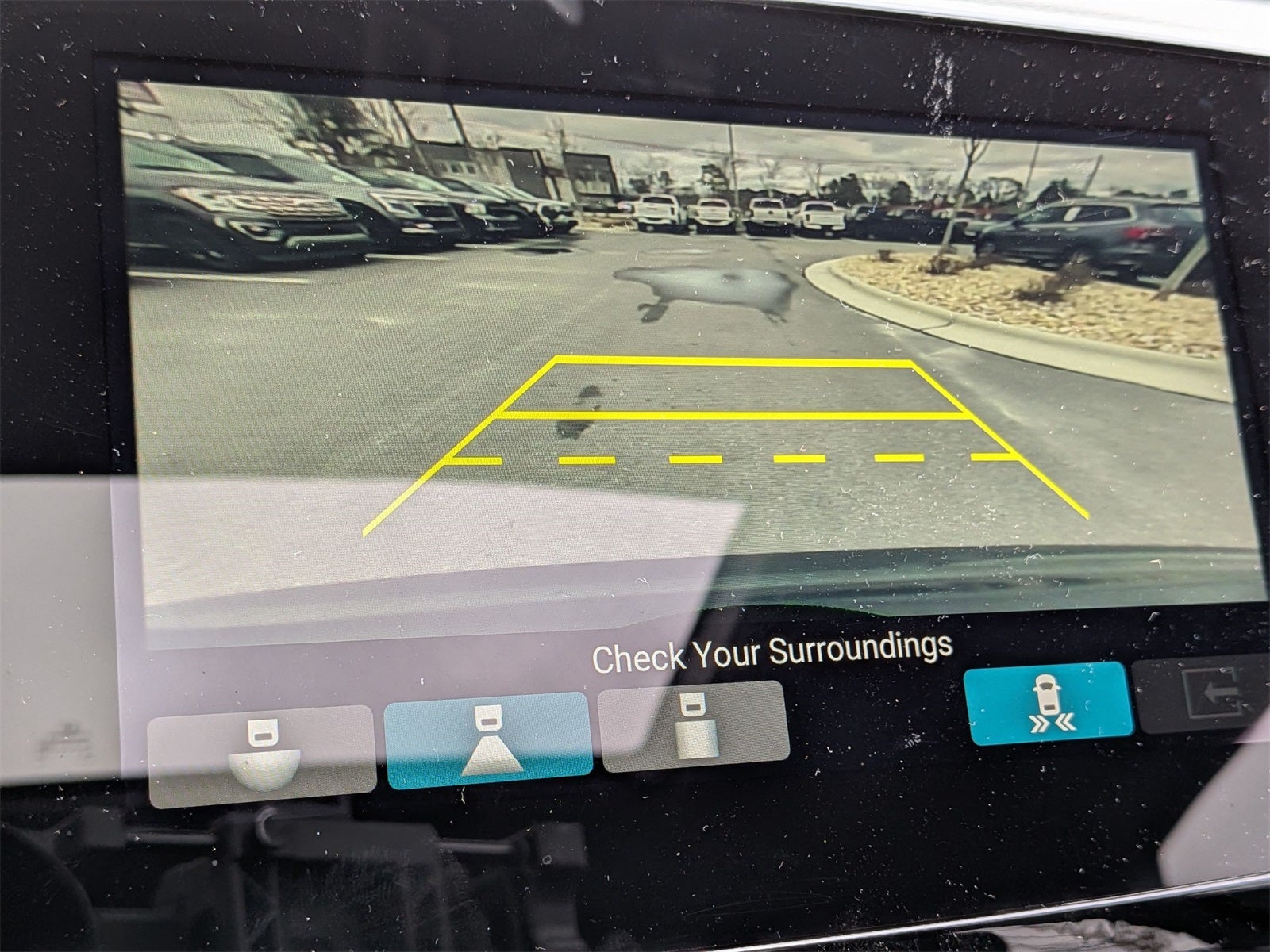 2021 Honda Pilot Black Edition