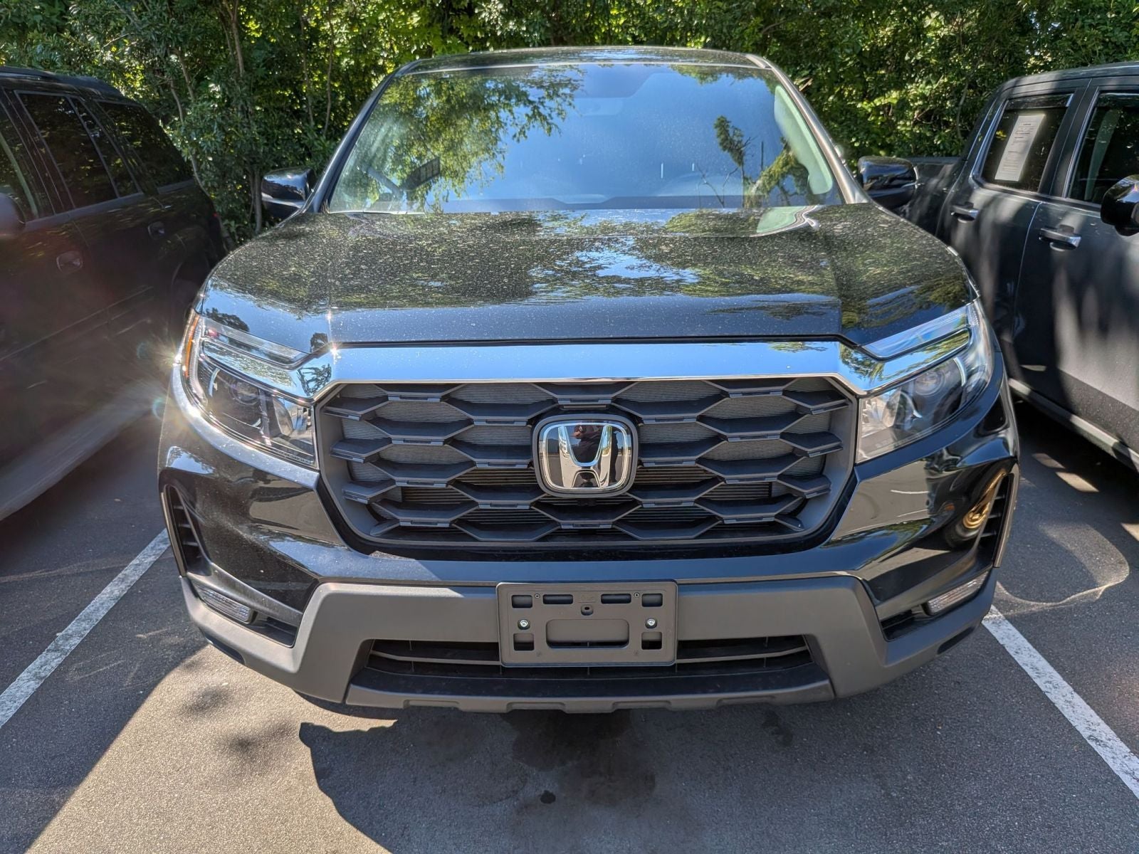2025 Honda Passport EX-L