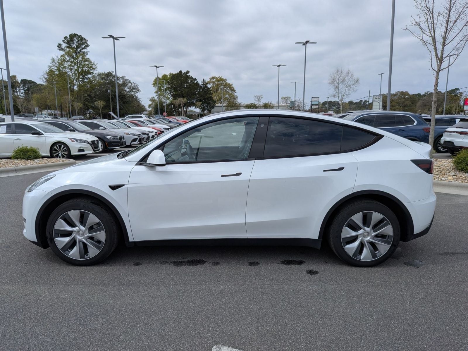 2023 Tesla Model Y Long Range