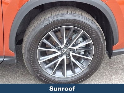 2024 Lexus NX 250 Base