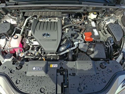 2025 Lexus NX 350 Base