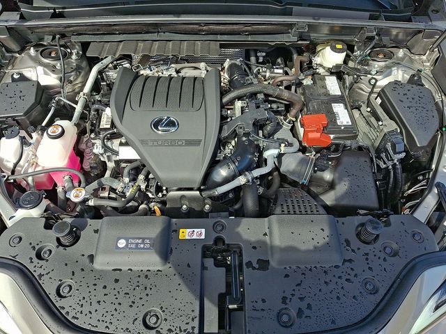 2025 Lexus NX 350 Base