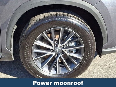 2024 Lexus NX 250 Premium