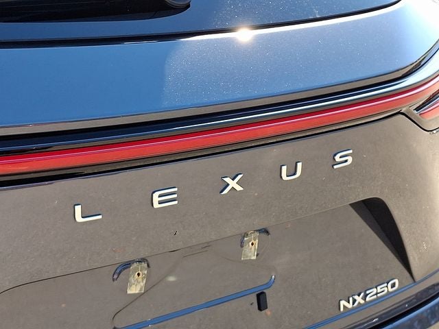 2024 Lexus NX 250 Premium