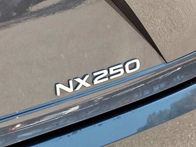 2024 Lexus NX 250 Premium