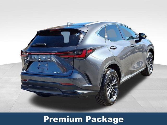 2024 Lexus NX 250 Premium