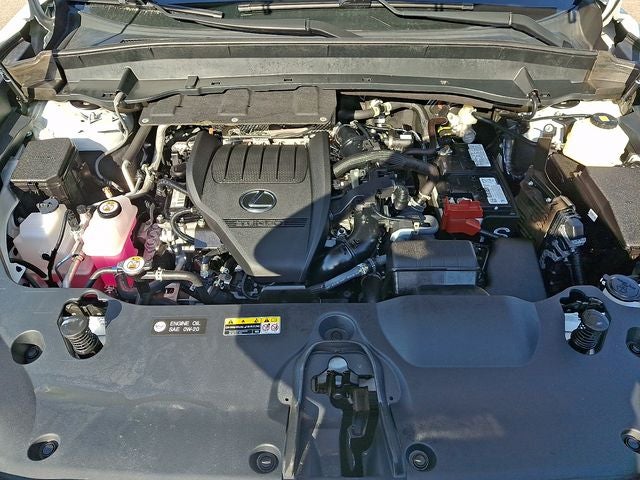 2024 Lexus TX 350 Premium