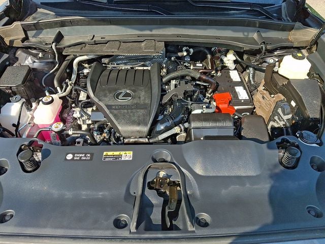 2024 Lexus TX 350 Premium