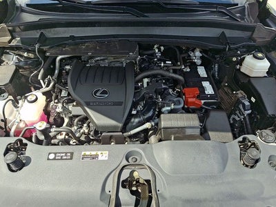 2024 Lexus TX 350 Premium