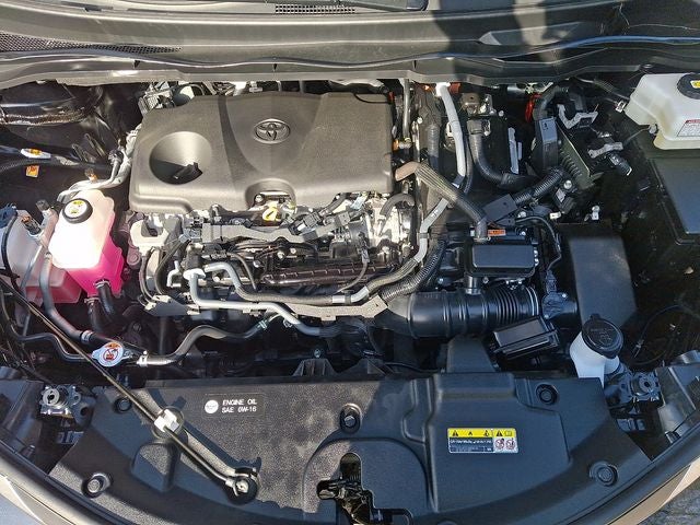 2025 Toyota Sienna LE 8 Passenger