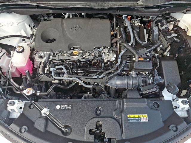 2023 Toyota Sienna XSE 7 Passenger