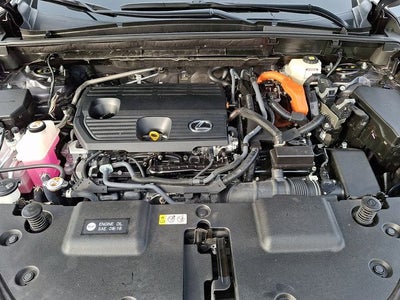 2024 Lexus NX 350h Premium