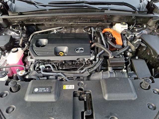 2024 Lexus NX 350h Premium