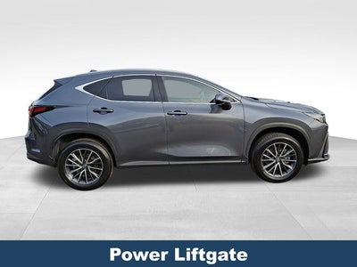 2024 Lexus NX 350h Premium