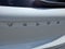 2023 Volvo XC40 Recharge Pure Electric Ultimate