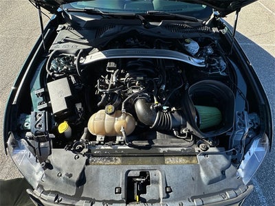 2019 Ford Mustang Bullitt