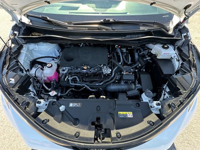 2023 Toyota Sienna XSE 7 Passenger