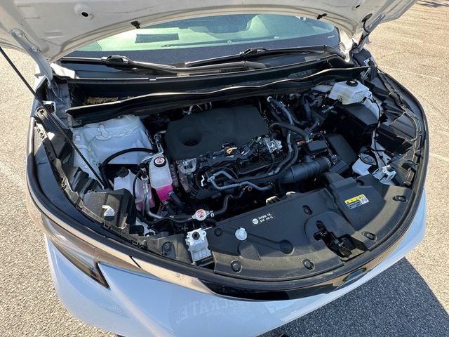 2023 Toyota Sienna XSE 7 Passenger