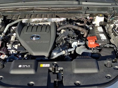 2025 Lexus NX 350 Base