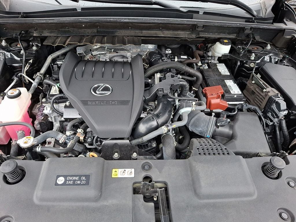 2023 Lexus NX 350 Premium