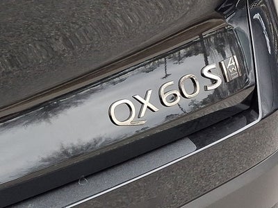 2026 INFINITI QX60 SPORT