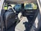 2023 INFINITI QX60 PURE FWD