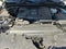 2024 INFINITI QX80 SENSORY 4WD